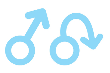 Erectile Dysfunction